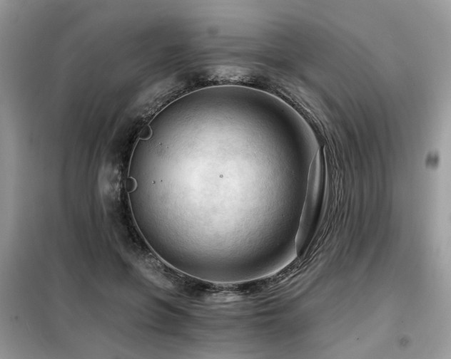 X0000099450551200805091508