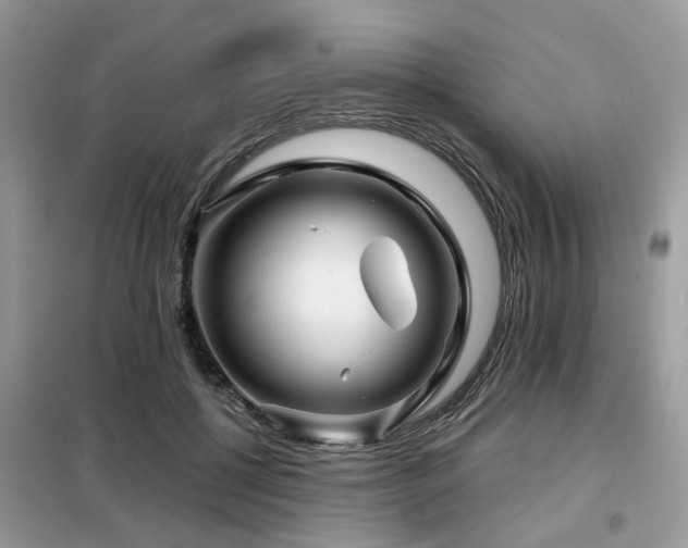 X0000099450552200805091508
