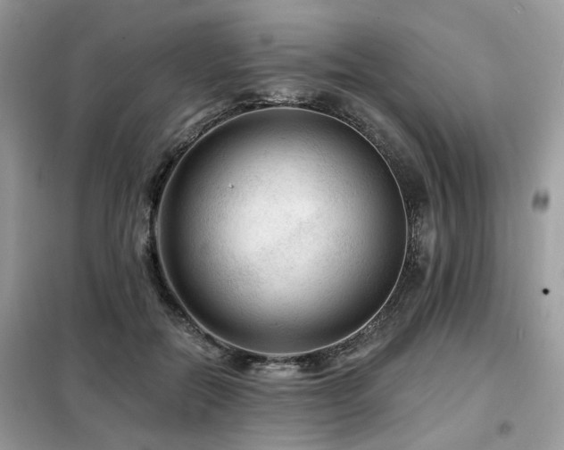 X0000099450554200805091508