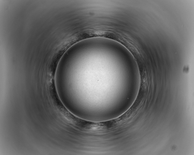 X0000099450555200805091508