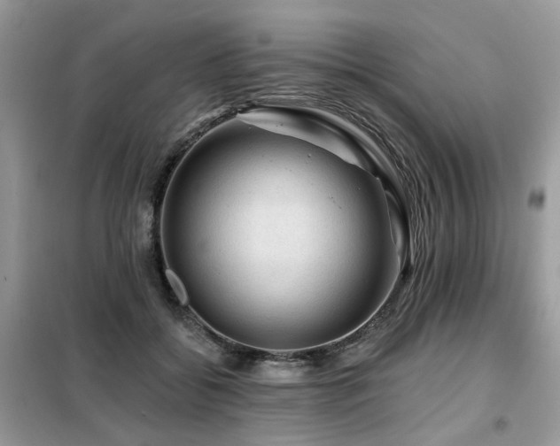 X0000099450556200805091508