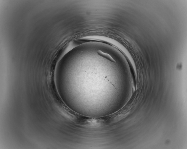 X0000099450558200805091508