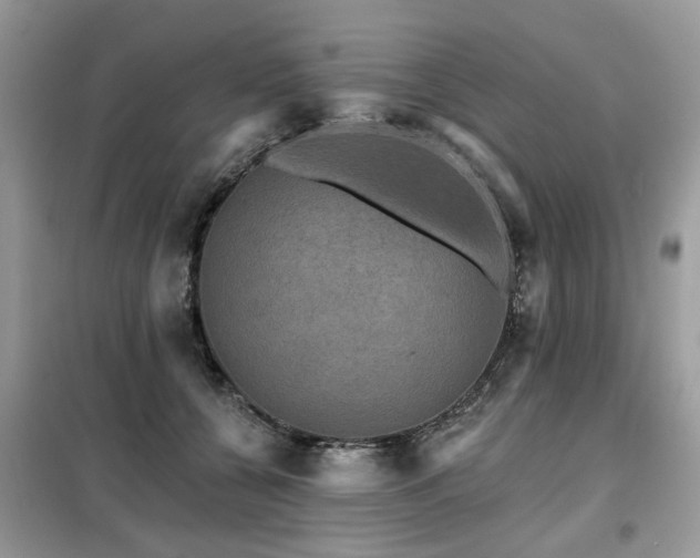 X0000099450560200805091508