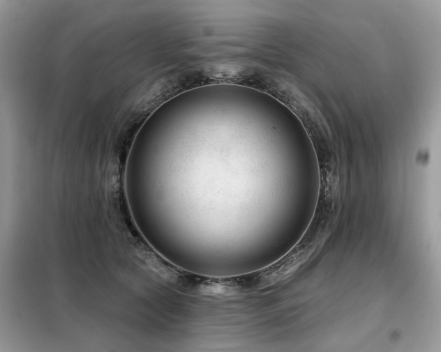 X0000099450561200805091508