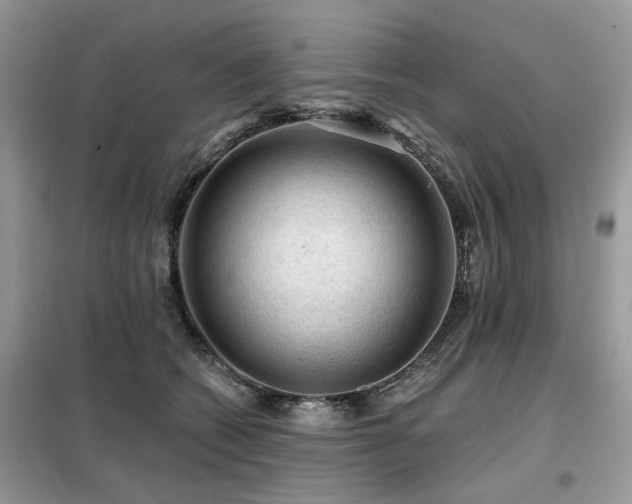 X0000099450562200805091508