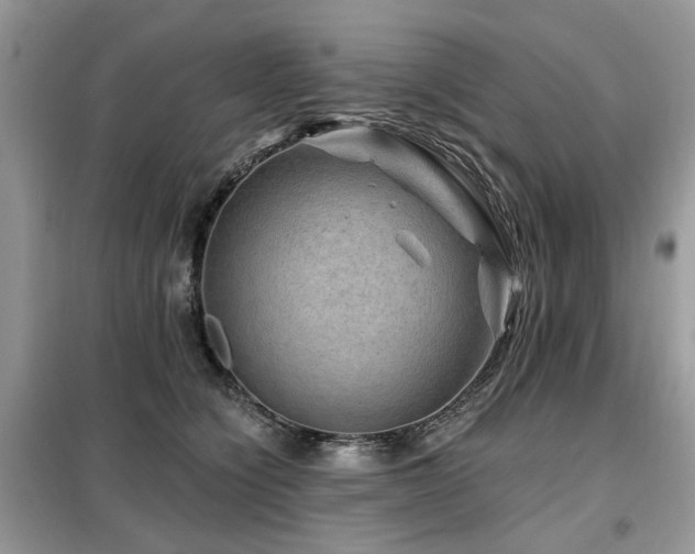 X0000099450564200805091508