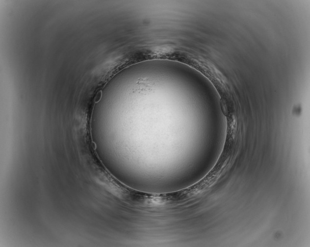 X0000099450565200805091508