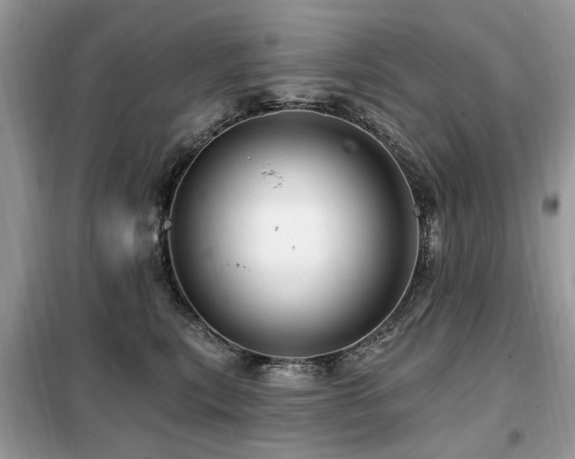 X0000099450567200805091508