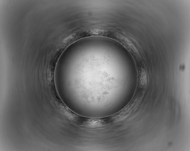 X0000099450569200805091508