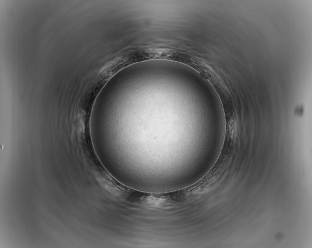 X0000099450570200805091508