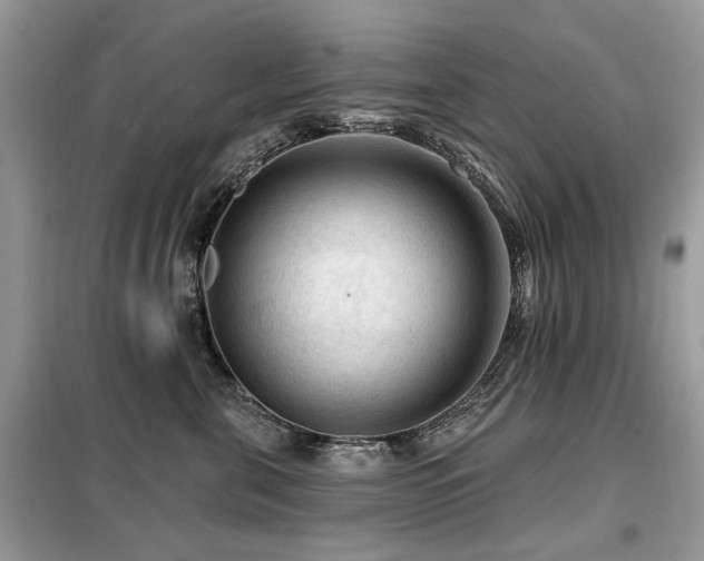 X0000099450571200805091508
