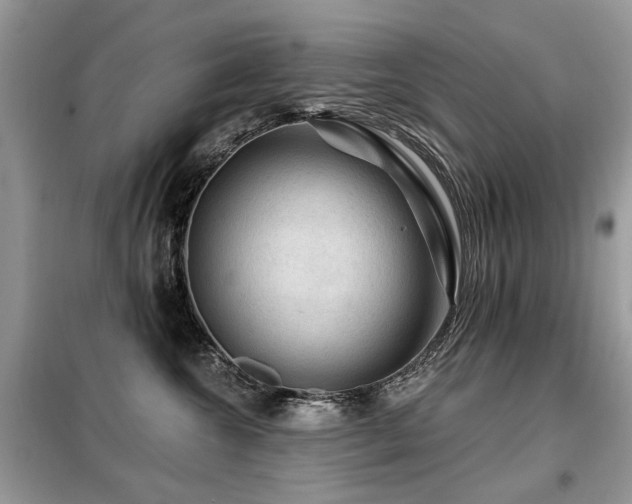 X0000099450572200805091508