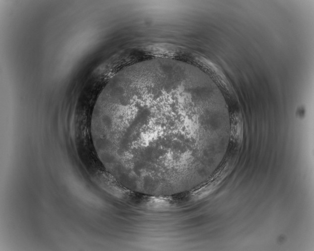X0000099450573200805091508