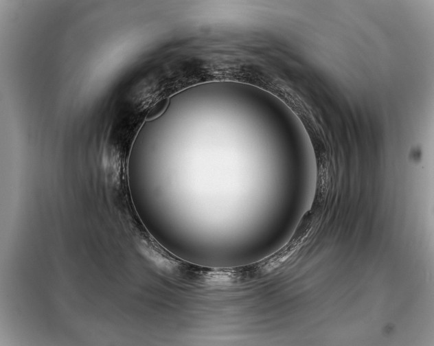 X0000099450574200805091508