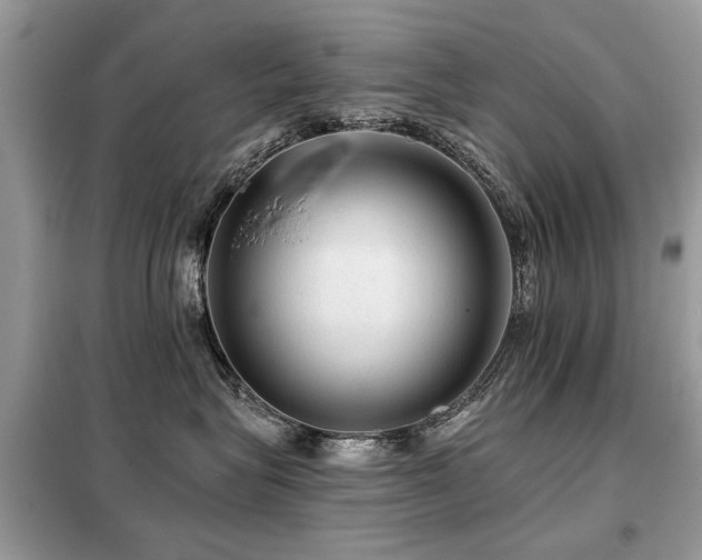 X0000099450575200805091508