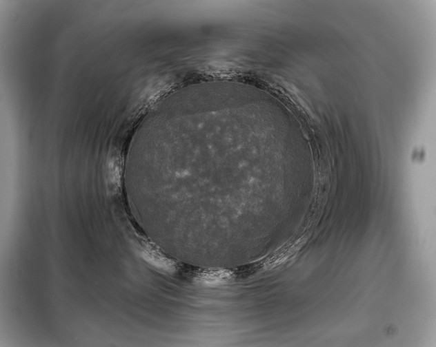 X0000099450576200805091508