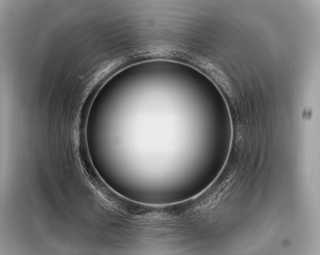 X0000099450578200805091507