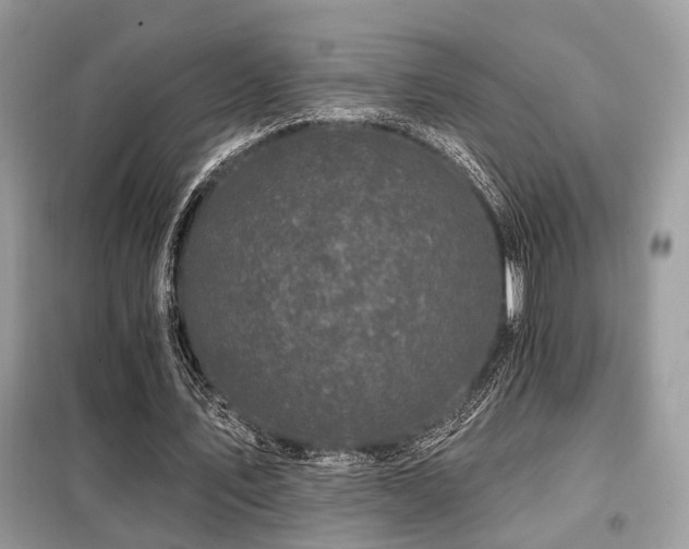 X0000099450579200805091507