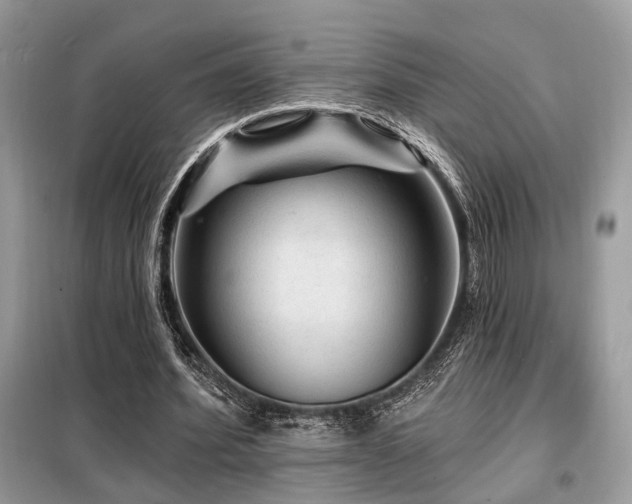 X0000099450580200805091507