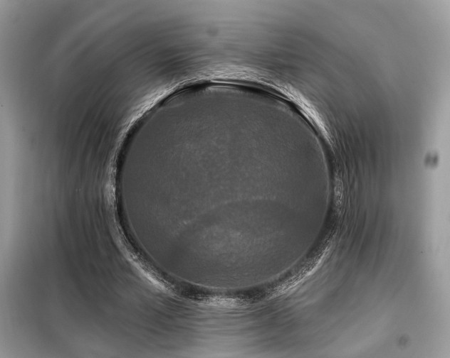 X0000099450581200805091507