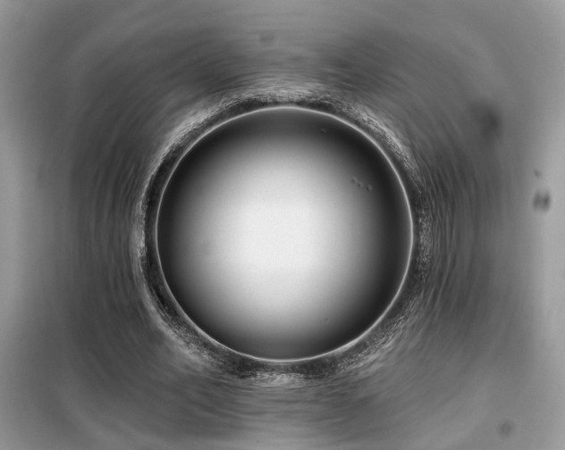 X0000099450582200805091507