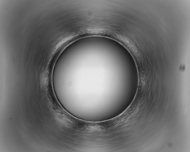 X0000099450583200805091507