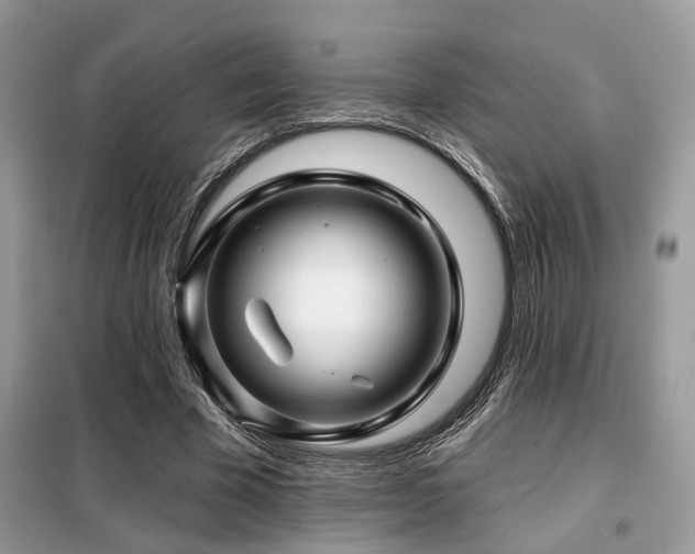 X0000099450585200805091507