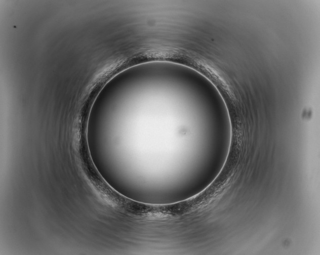 X0000099450586200805091507