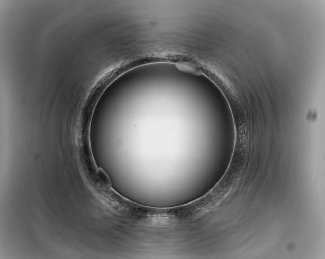 X0000099450587200805091507