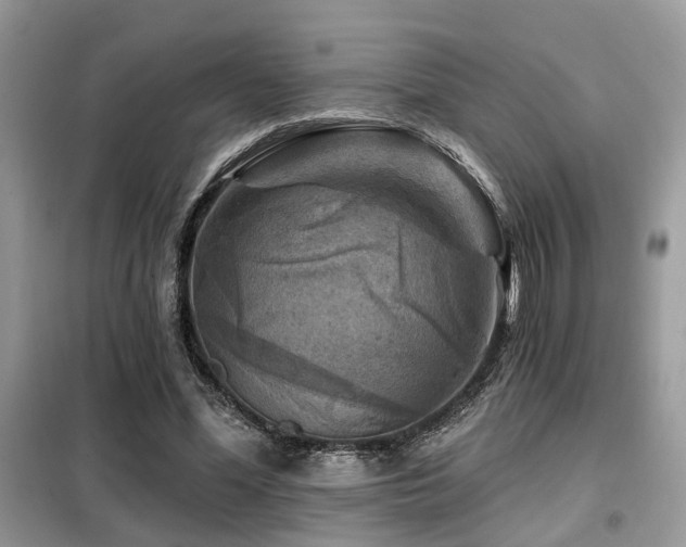 X0000099450588200805091507
