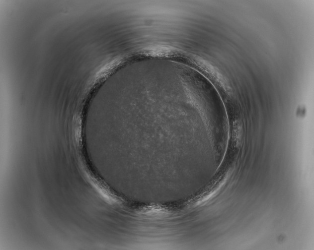 X0000099450589200805091507