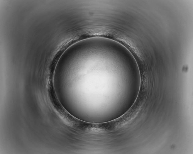 X0000099450590200805091507