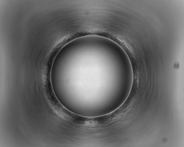 X0000099450591200805091507