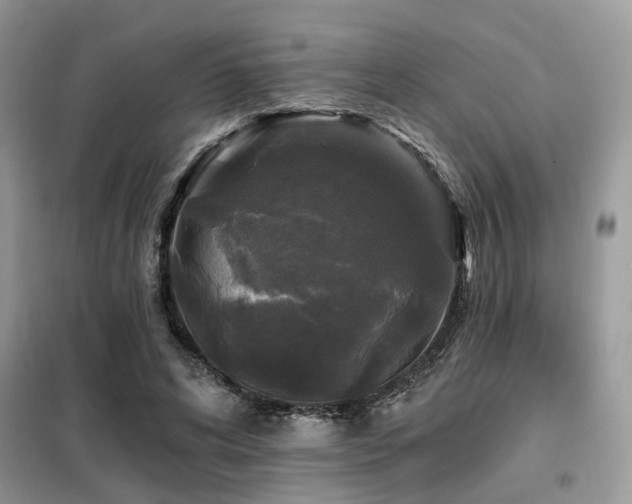 X0000099450592200805091507