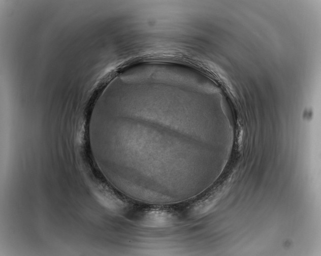 X0000099450596200805091507