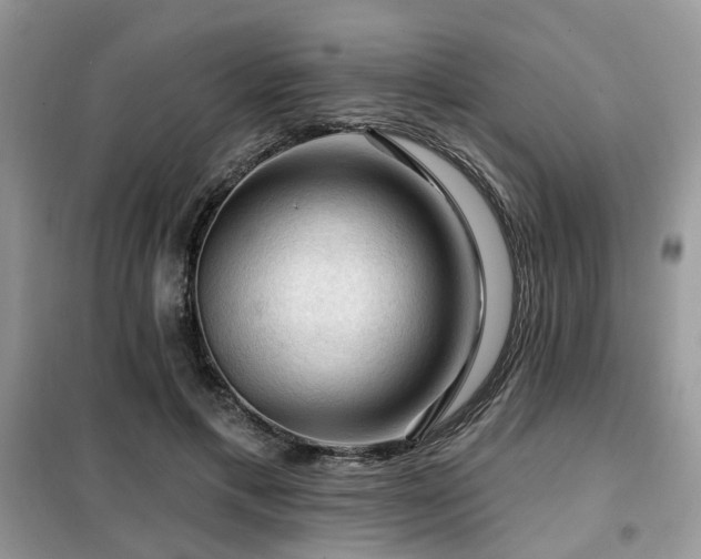 X0000099450597200805091507