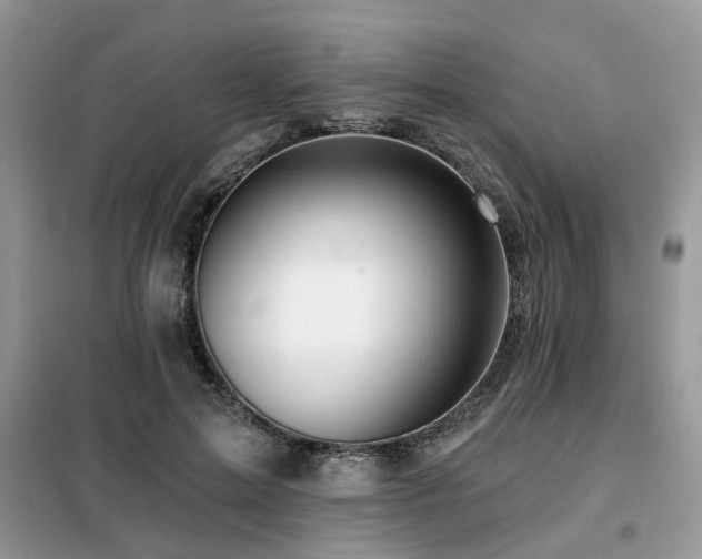 X0000099450599200805091507