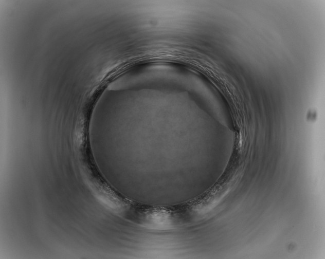 X0000099450600200805091507