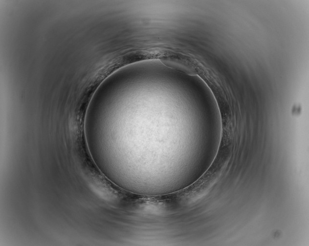 X0000099450601200805091507