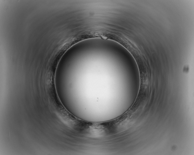 X0000099450603200805091507