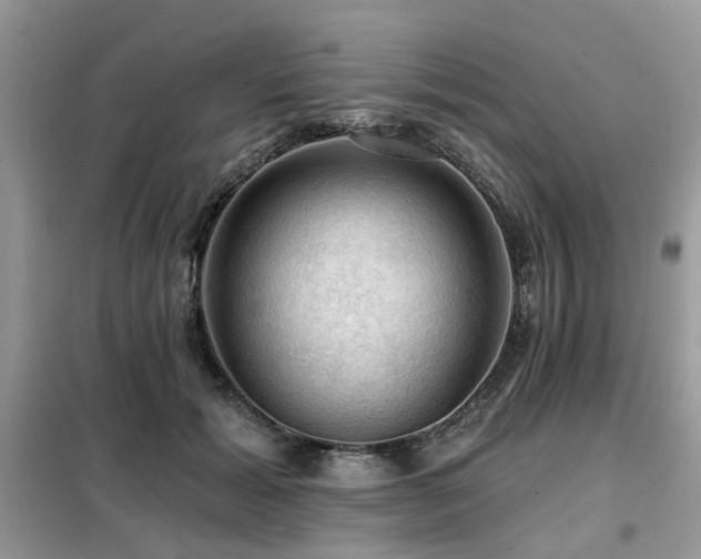 X0000099450605200805091507