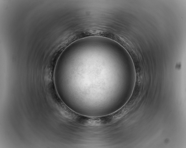 X0000099450606200805091507