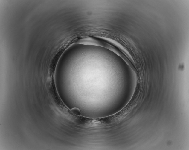X0000099450607200805091507
