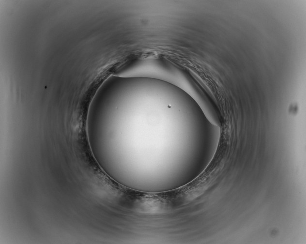 X0000099450608200805091507
