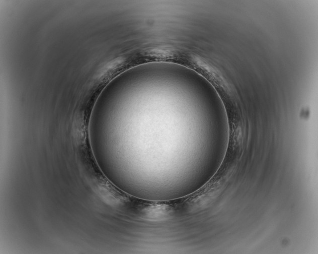 X0000099450609200805091507