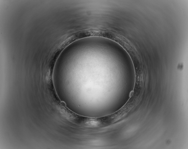 X0000099450610200805091507