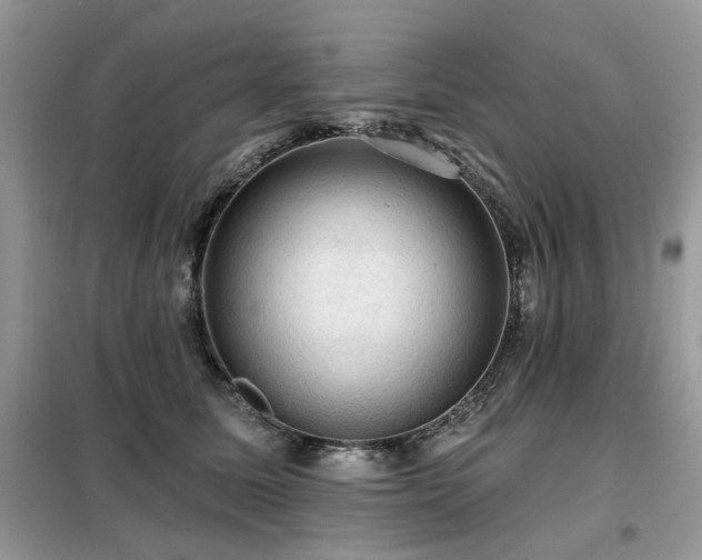 X0000099450611200805091507