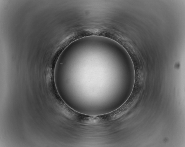 X0000099450612200805091507