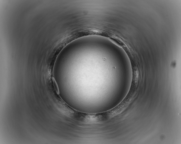 X0000099450613200805091507