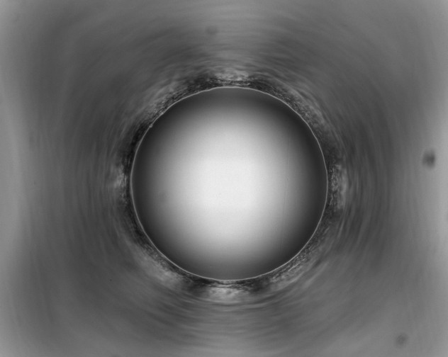 X0000099450614200805091507